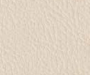 Beige Chiaro