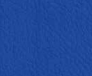Blue Elettrico